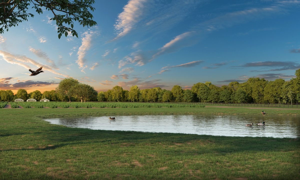 Splenda Stevia Farms Nature