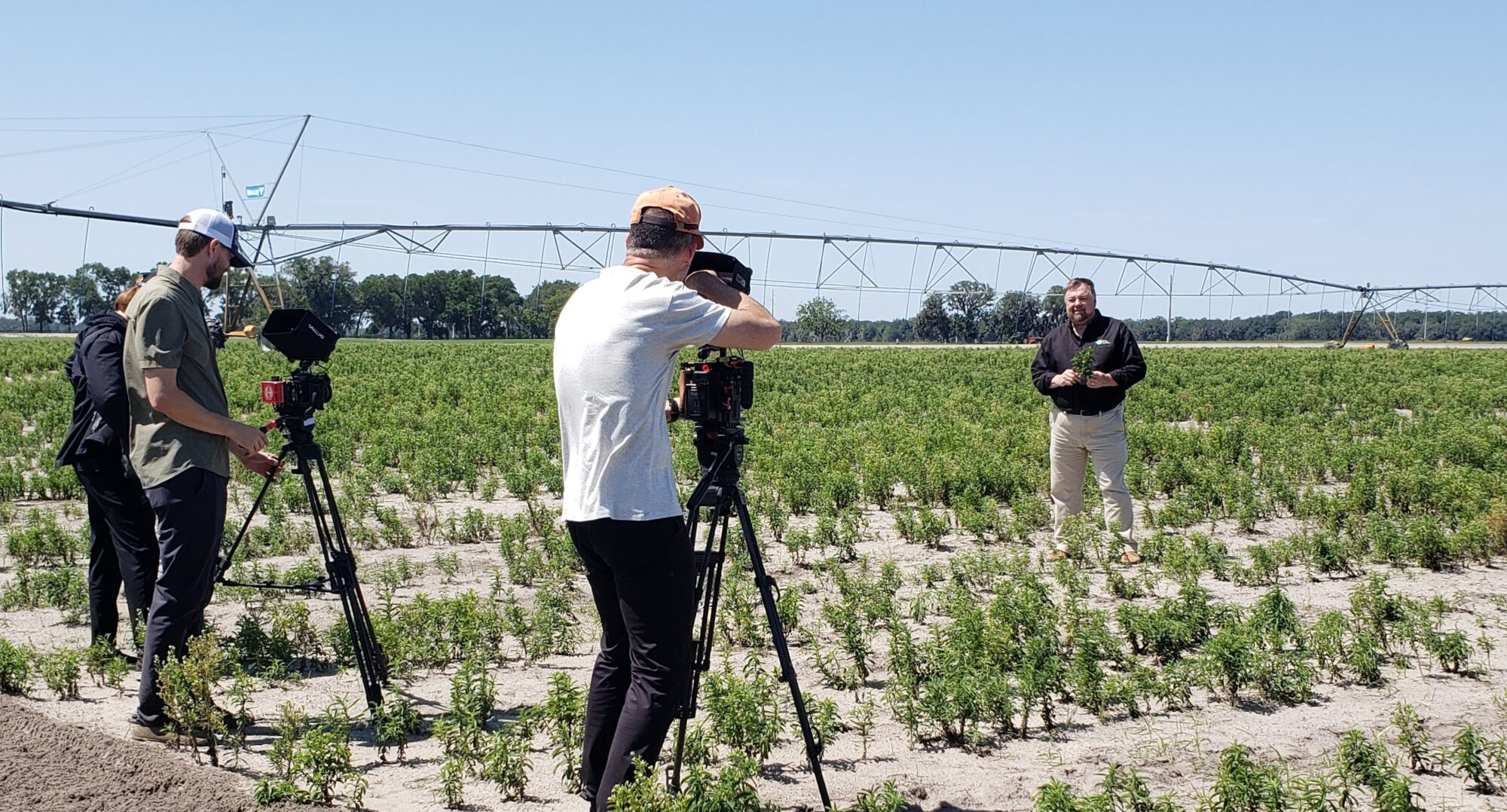 Splenda Stevia Farms Filming of Where The Food Comes From