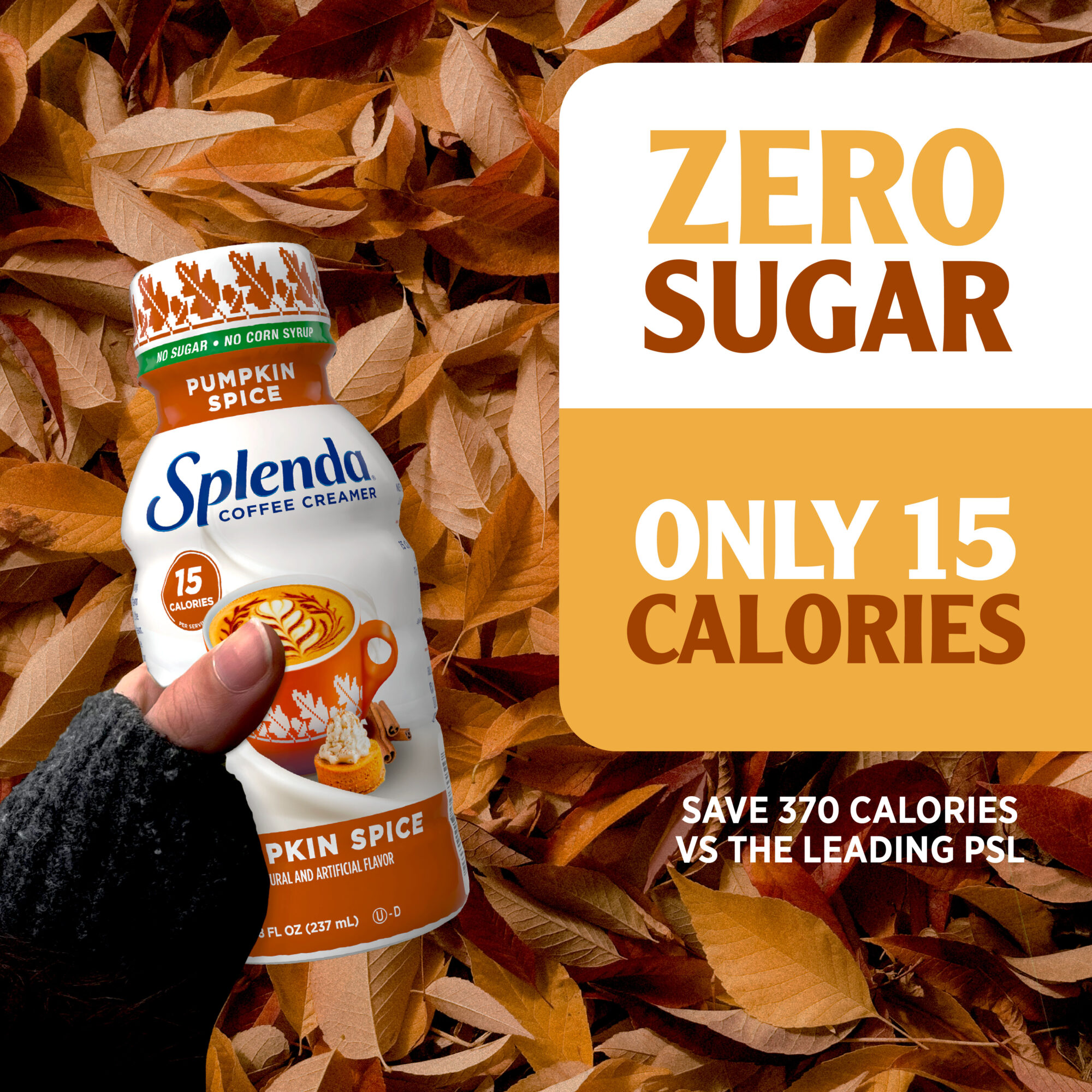 Splenda Coffee Creamer - Pumpkin Spice, 8oz. Bottle - Zero Sugar, Only 15 Calories