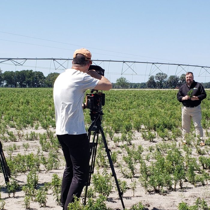 Splenda Stevia Farms Filming of Where The Food Comes From